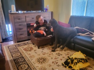 Louie Sitting